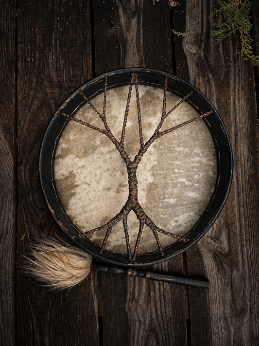Shamanic Drum for Beginners — 12" Round Tree of Life