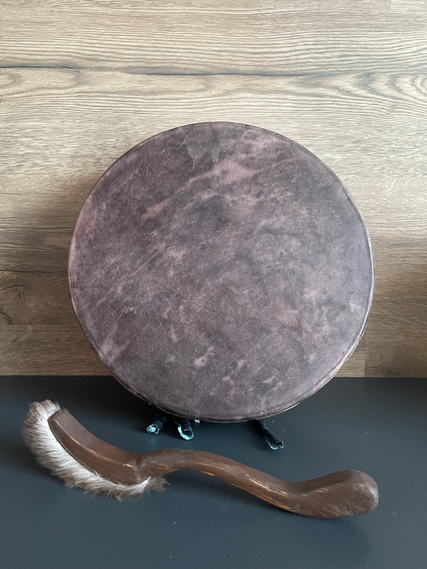 Сибірський бубон — 12" (30 см)