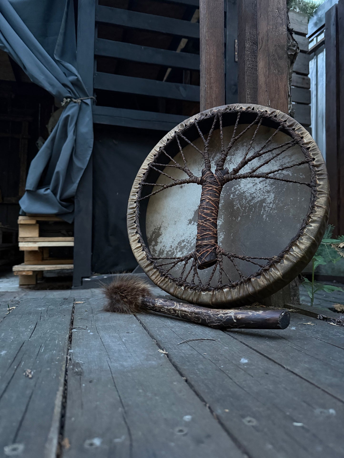 Tree of Life shamanic drum, view