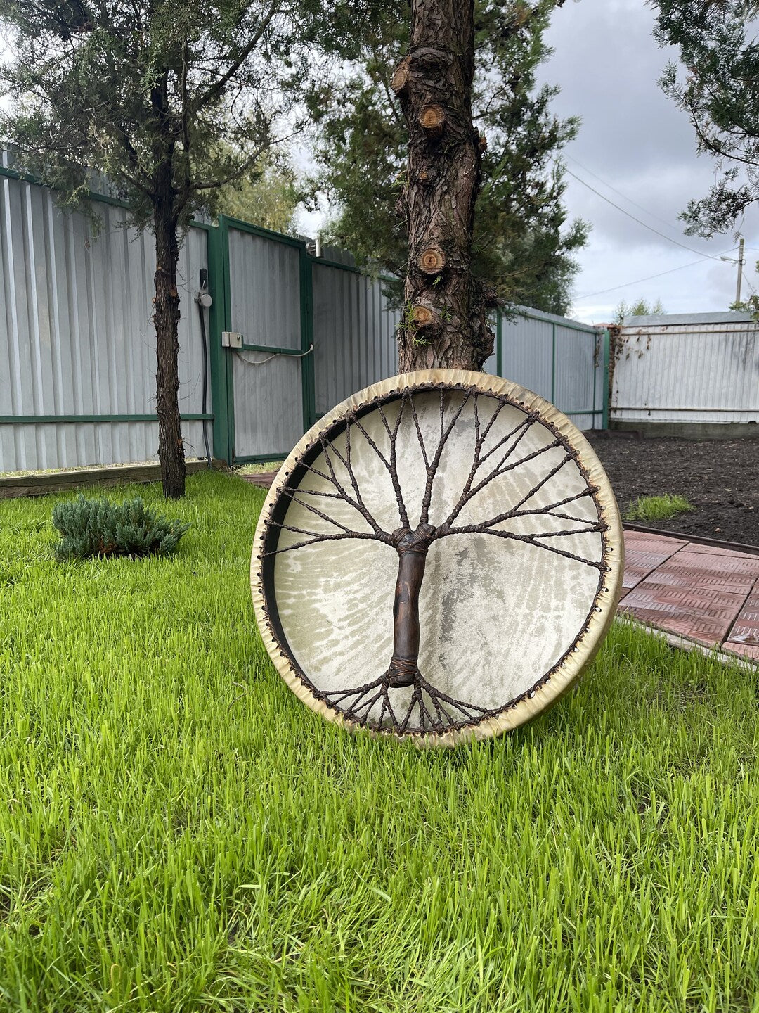 Shamanic Drum 'Tree of Life' — 24" Round