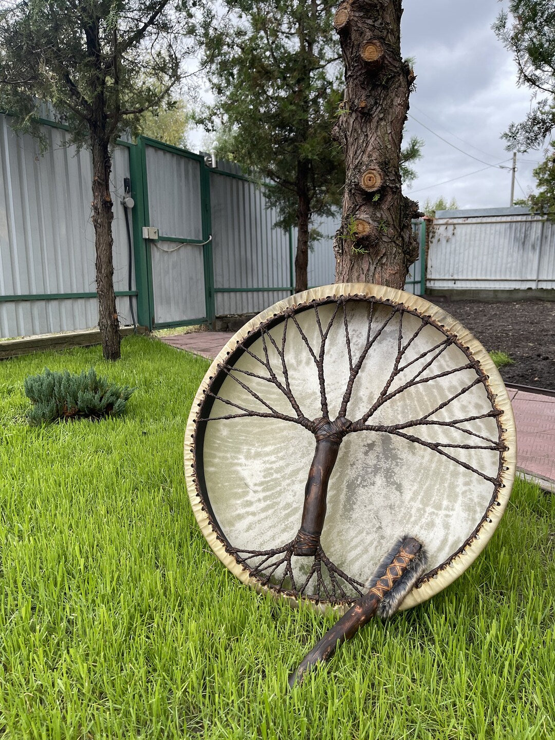 Shamanic Drum 'Tree of Life' — 24" Round