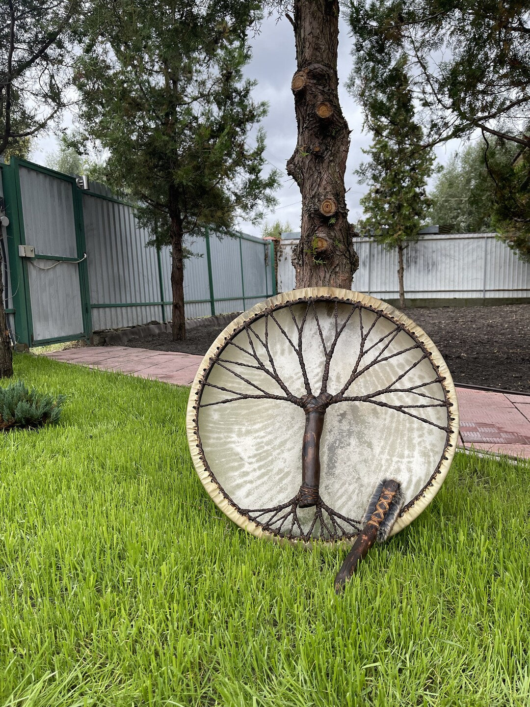Shamanic Drum 'Tree of Life' — 24" Round