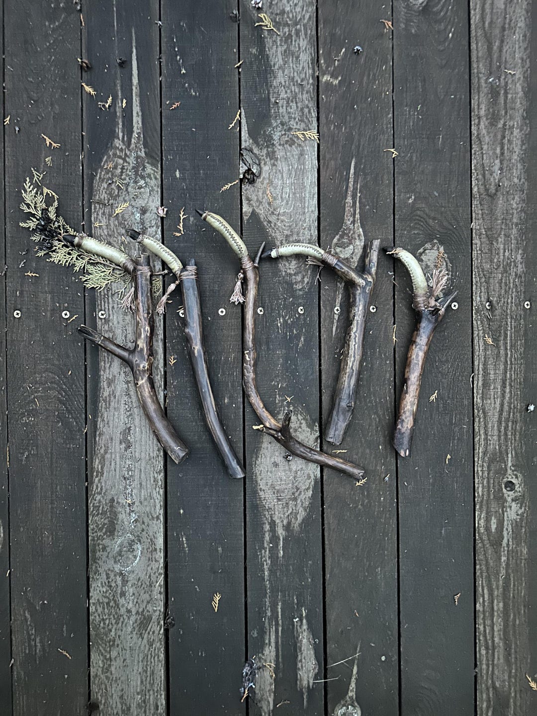 Five shaman's finger rattles on dark planks, each handle a different pine branch